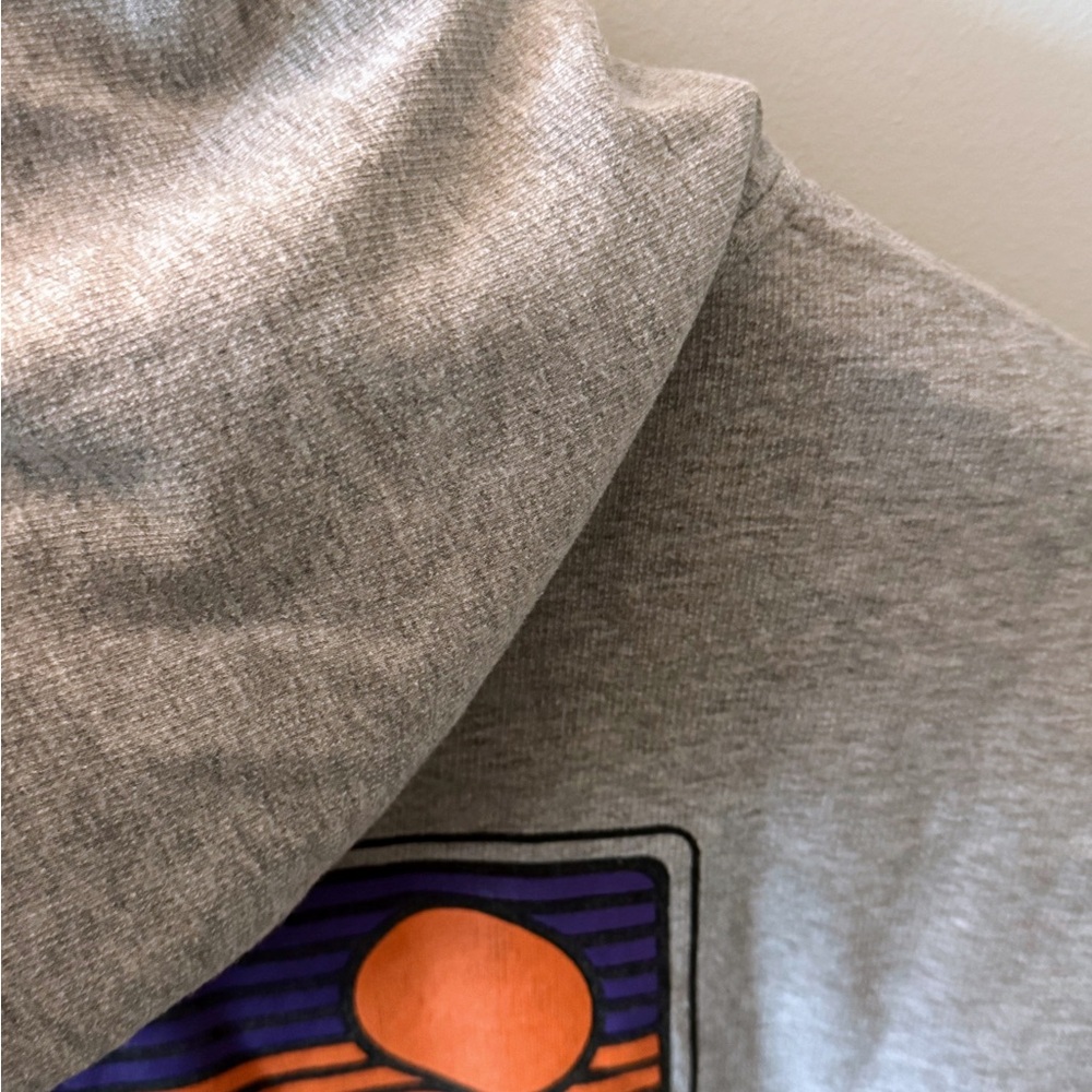 Patagonia Men's Zip-Up Hoodie in Light Gray - Picture 5 of 6